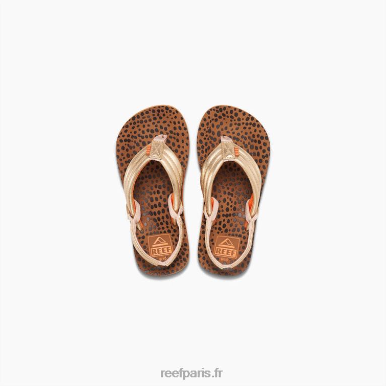 fr Reef petit ahi enfants sauvage 0XL0D863