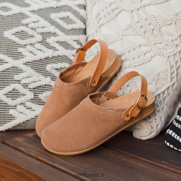 encoussin récif suède sauge femmes café 0XL0D221