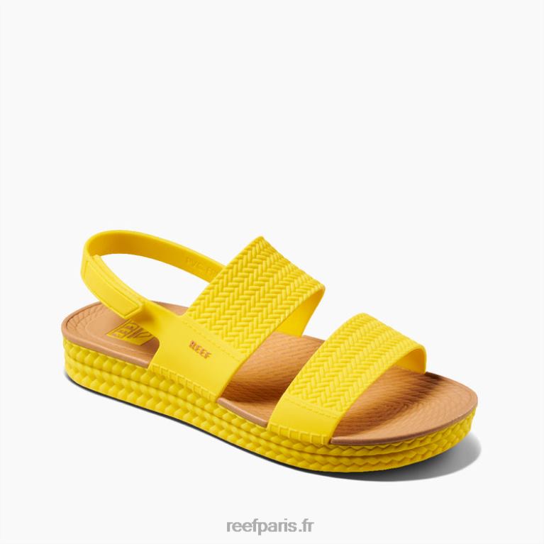 envue sur l'eau du récif femmes ensoleillé 0XL0D115