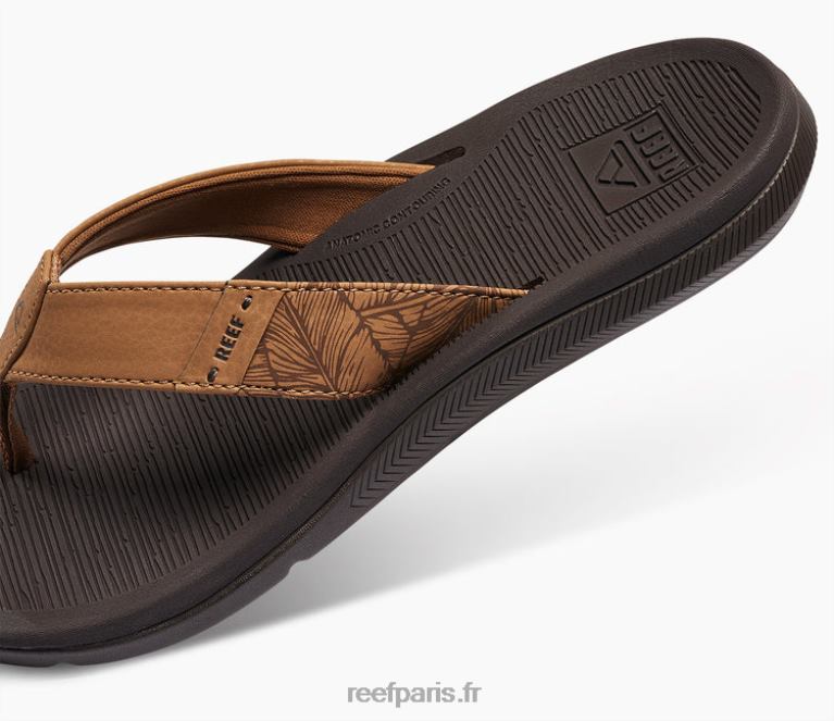 en Reef Santa Ana femmes Expresso 0XL0D151