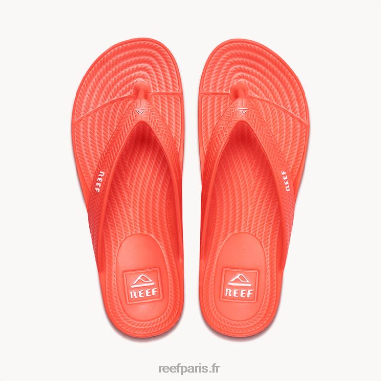 en Reef cour d'eau femmes coquelicot néon 0XL0D107