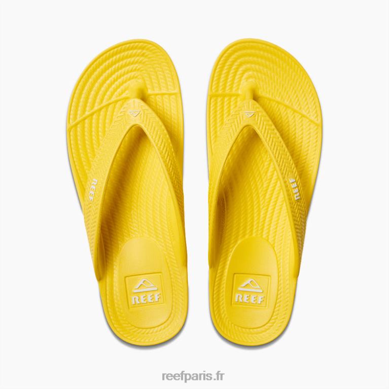 en Reef cour d'eau femmes ensoleillé 0XL0D99