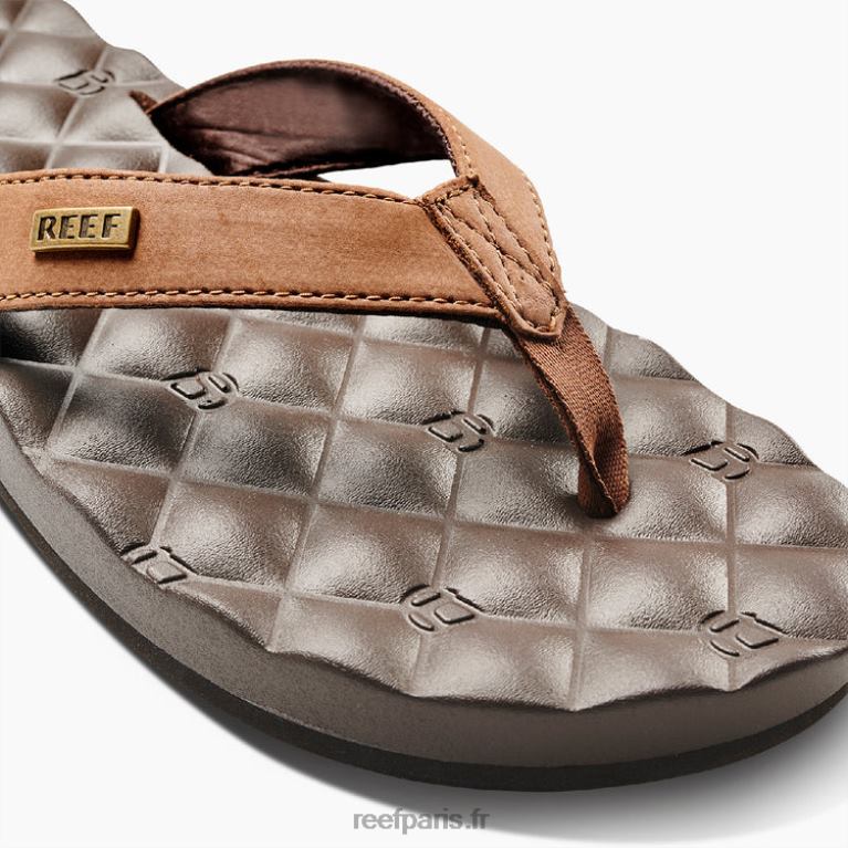 enrêves de récif femmes brun 0XL0D67