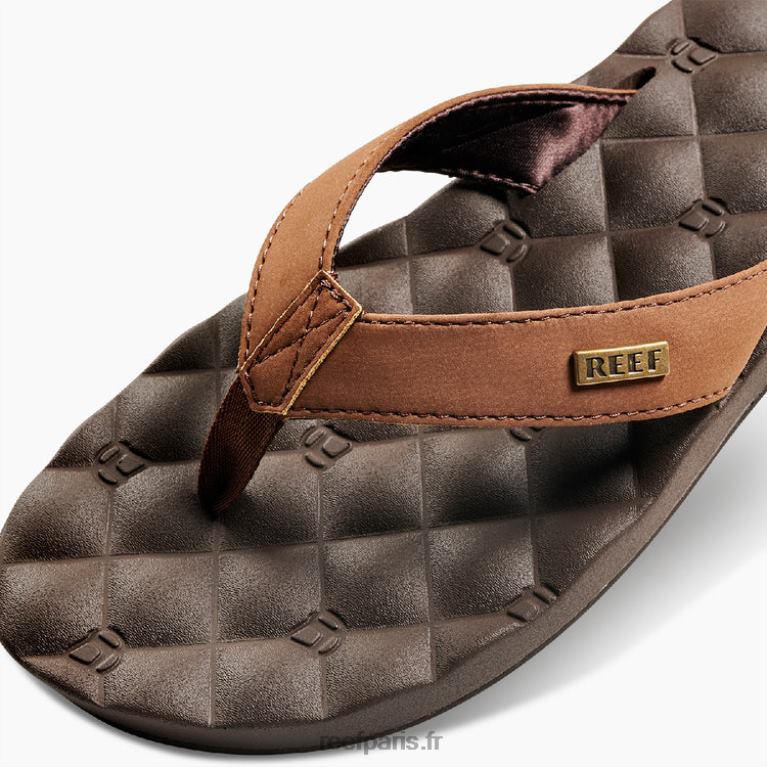 enrêves de récif femmes brun 0XL0D67