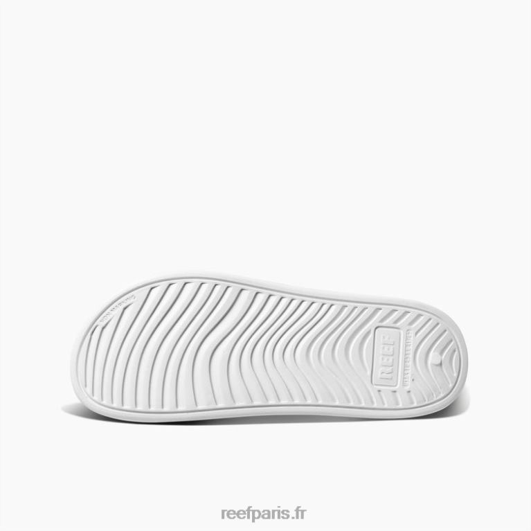 fr Reef toboggan oasis Hommes blanc de blanc 0XL0D399