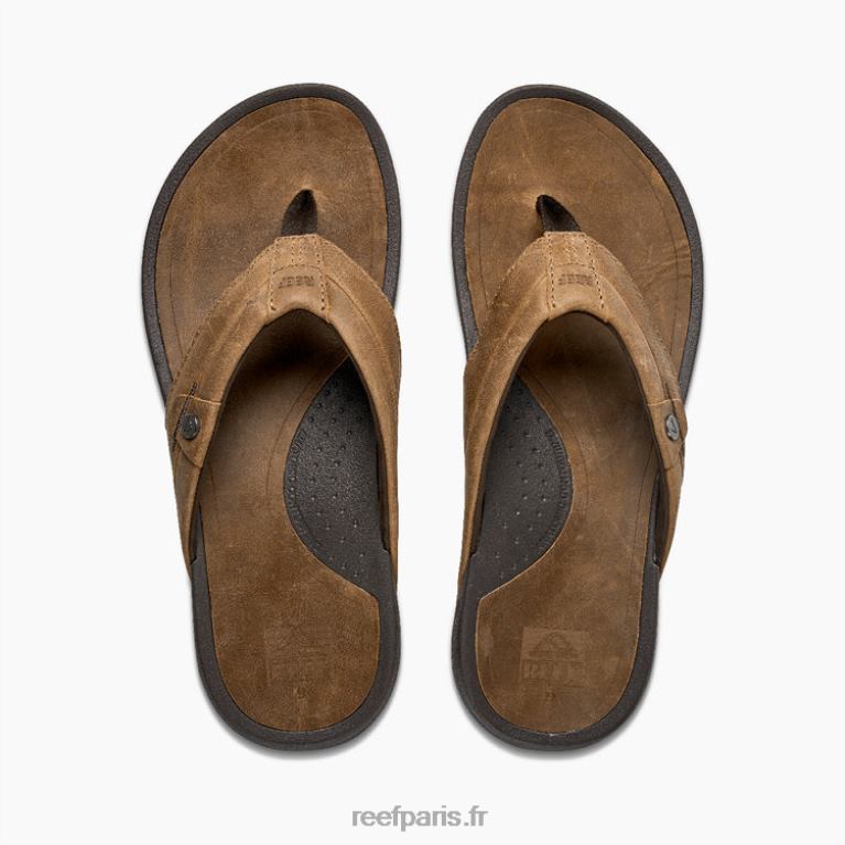 encuir récif pacifique Hommes Java 0XL0D358