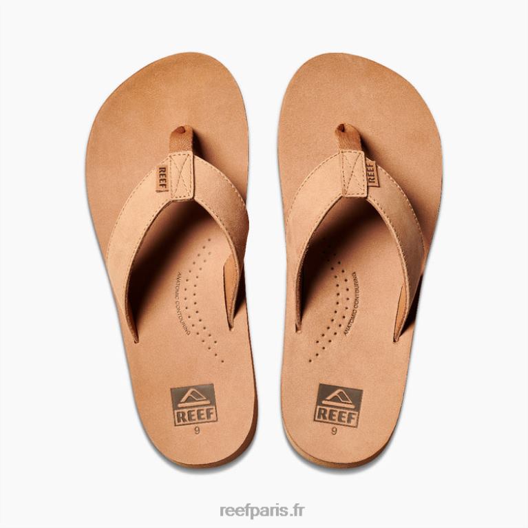 endérive de récif classique Hommes bronzer 0XL0D446