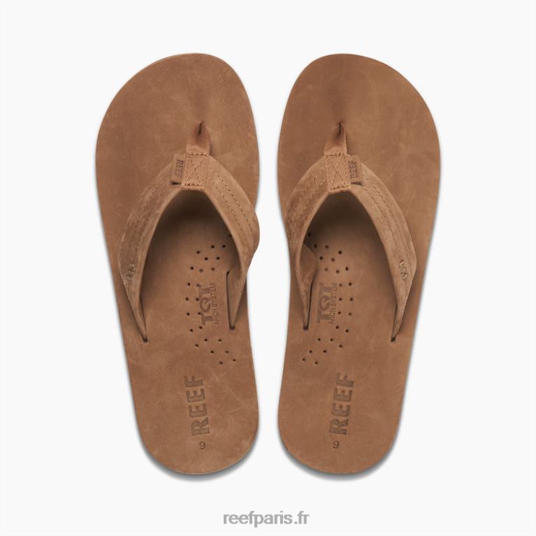 endessinateurs de récifs Hommes marron classique 0XL0D337