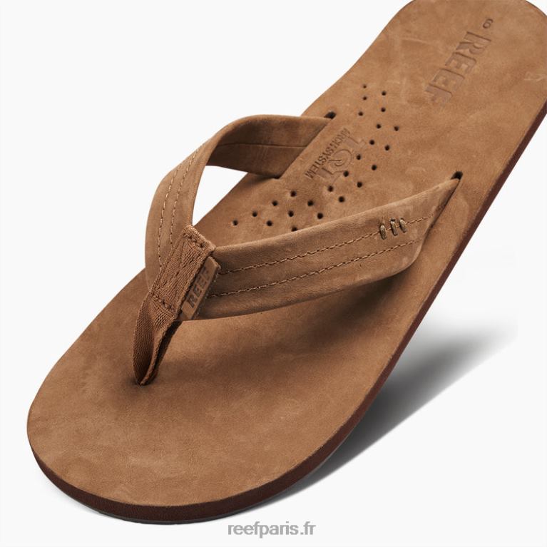 endessinateurs de récifs Hommes marron classique 0XL0D337