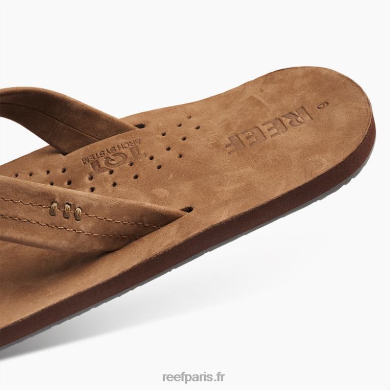 endessinateurs de récifs Hommes marron classique 0XL0D337