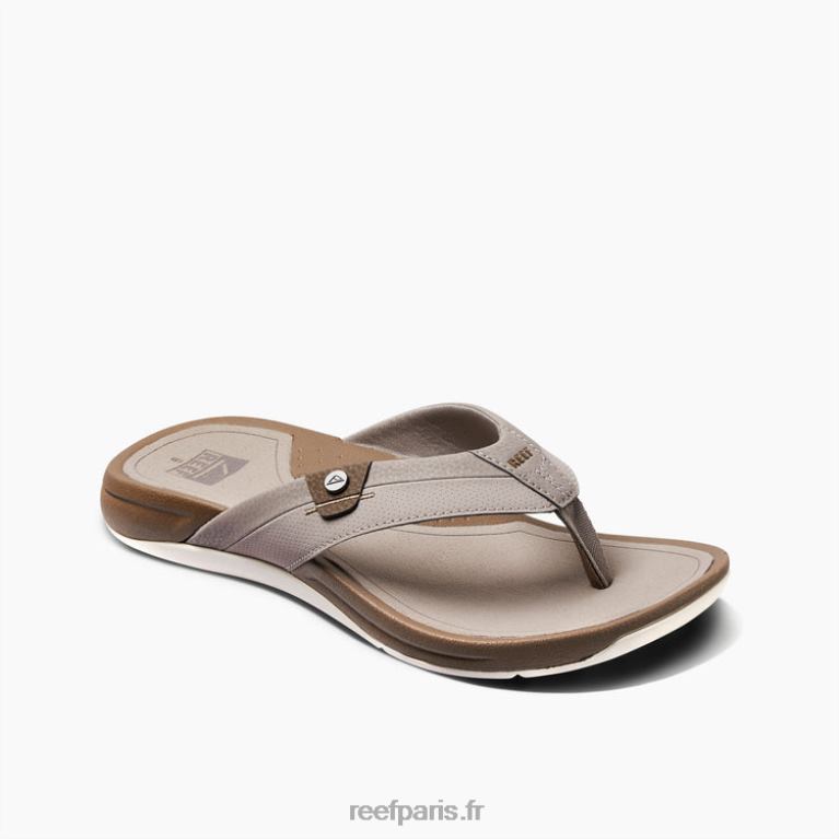 enrécif pacifique Hommes taupe/fossile 0XL0D384