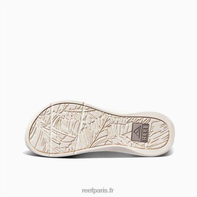 enrécif pacifique Hommes taupe/fossile 0XL0D384