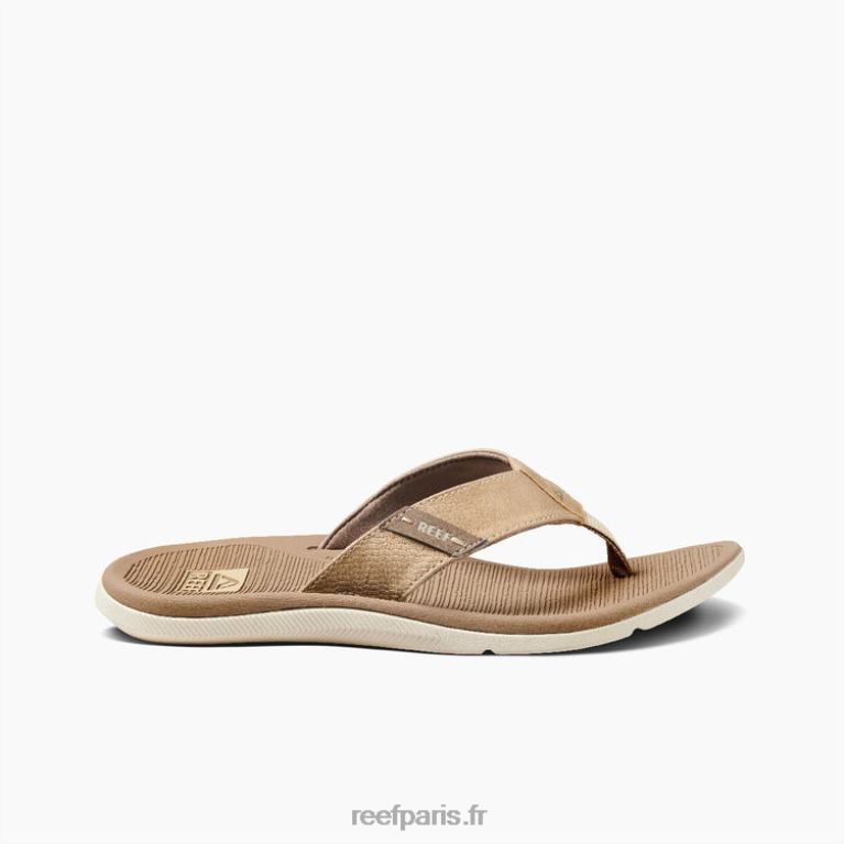 enrécif santa ana Hommes bronzer 0XL0D342