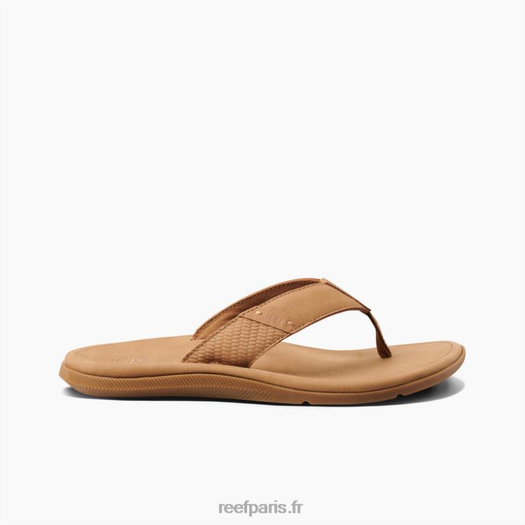 fr Reef cuir santa ana Hommes bronzer 0XL0D318