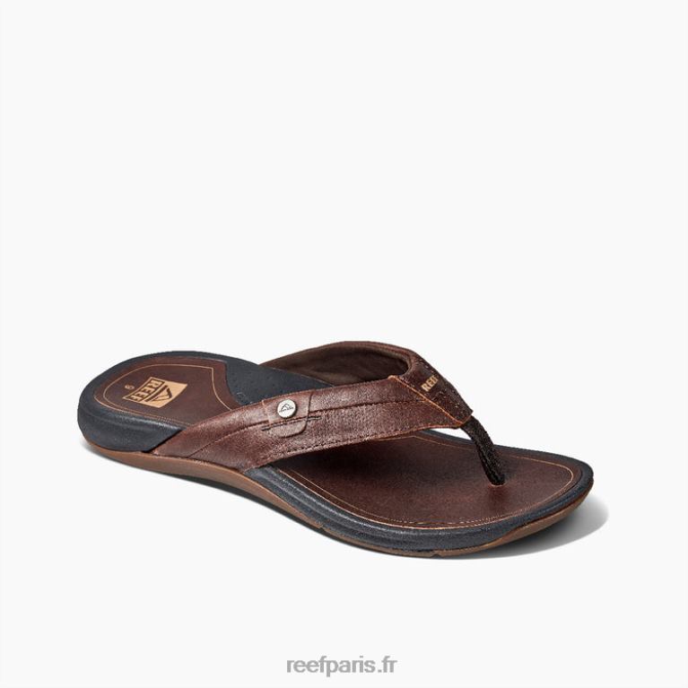 frcuir récif pacifique Hommes marron foncé 0XL0D363