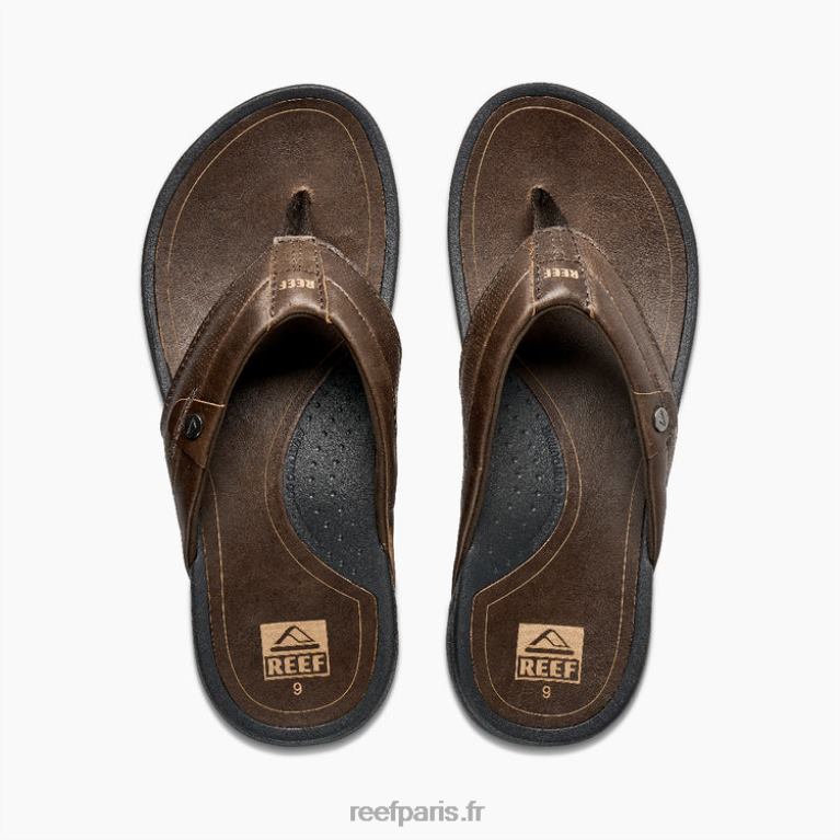 frcuir récif pacifique Hommes marron foncé 0XL0D363
