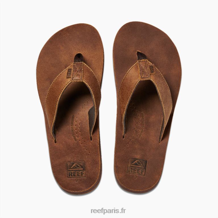 frdérive de récif classique Hommes brun 0XL0D334