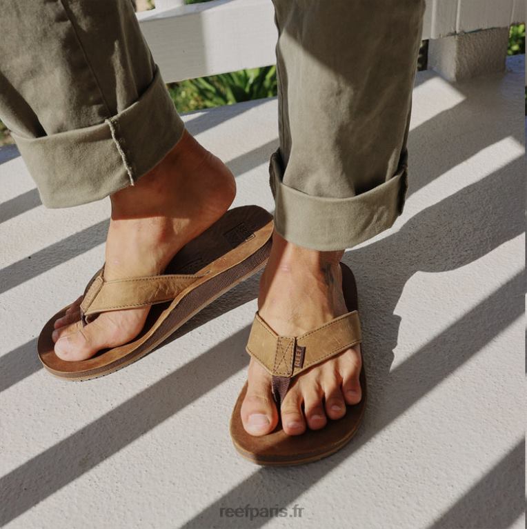 frdérive de récif classique Hommes brun 0XL0D334