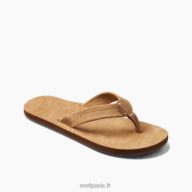 frdessinateurs de récifs Hommes bronzage classique 0XL0D343