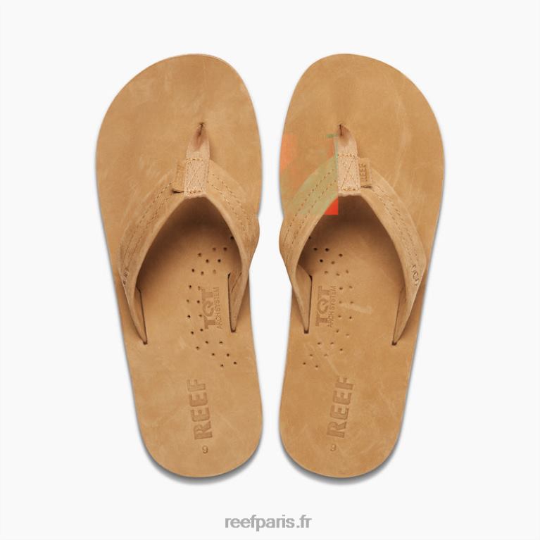 frdessinateurs de récifs Hommes bronzage classique 0XL0D343