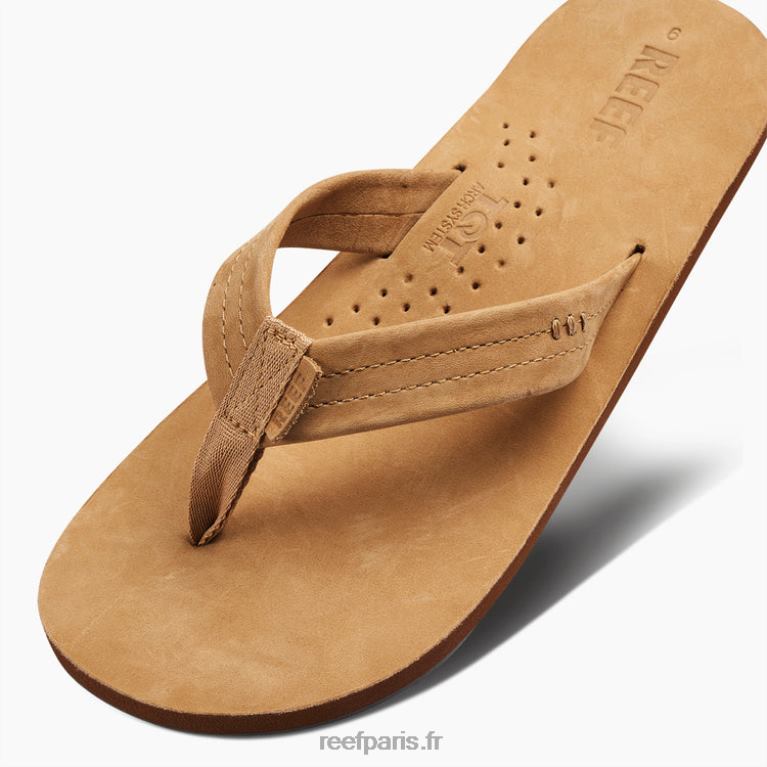 frdessinateurs de récifs Hommes bronzage classique 0XL0D343