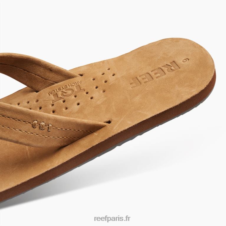 frdessinateurs de récifs Hommes bronzage classique 0XL0D343