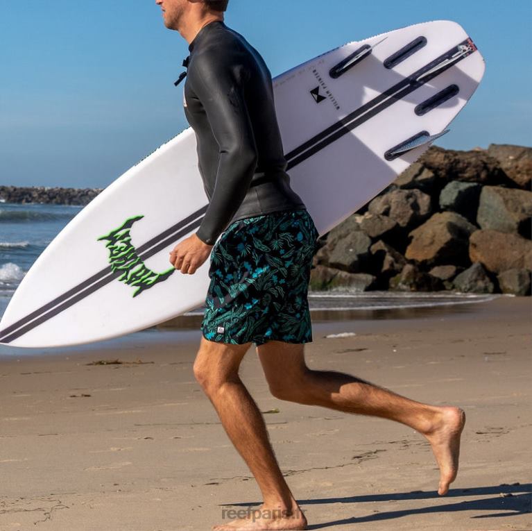en Reef boardshort everett 17