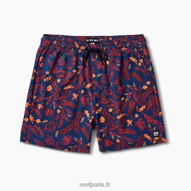 fr Reef boardshort everett 17