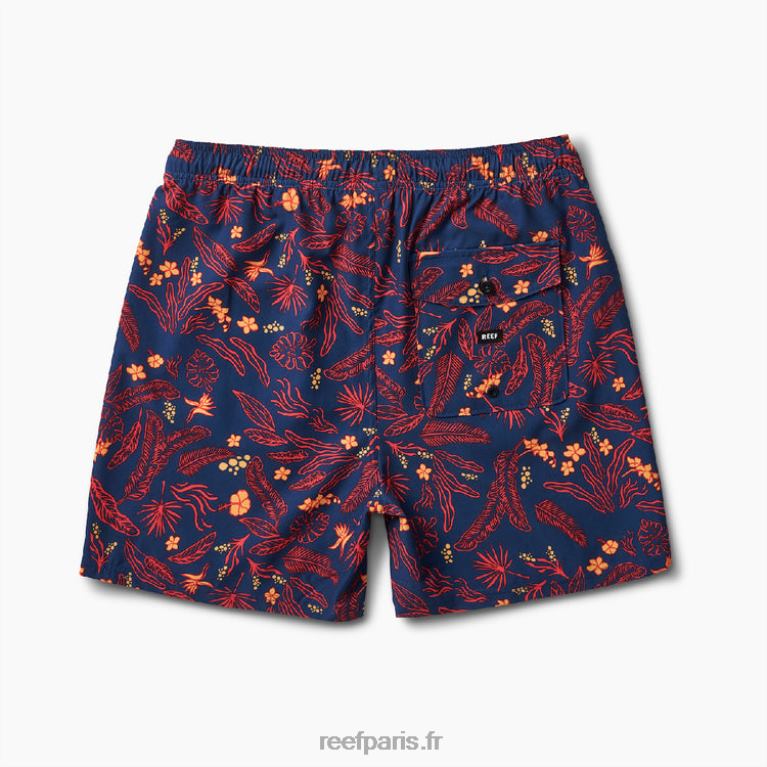 fr Reef boardshort everett 17